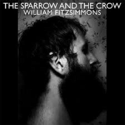 Sparrow & the Crow,the