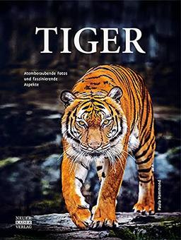 Tiger: Atemberaubende Fotos und faszinierende Aspekte