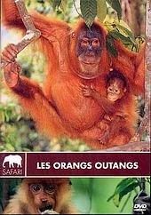 Les Orangs-Outans [FR Import]