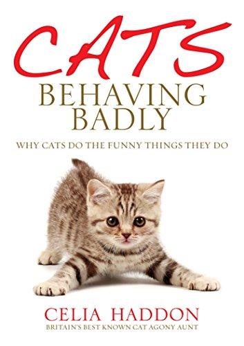 Cats Behaving Badly