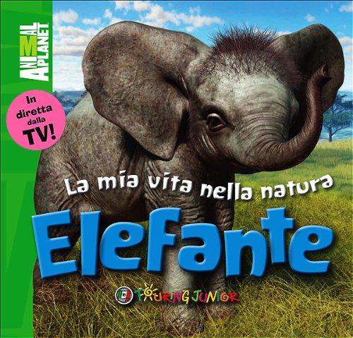 Elefante