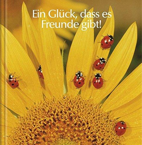 Ein Glück, dass es Freunde gibt!: Geschenkbuch Mini