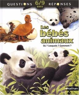 Les bébés animaux : où ? Lesquels ? Comment ?