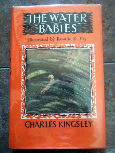 Water-Babies: A Fairy-Tale for a Land-Baby (Children's Illustrated Classics S.)