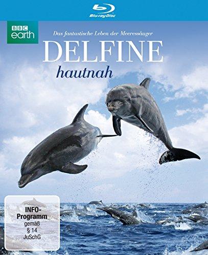 Delfine hautnah [Blu-ray]