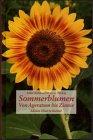 Sommerblumen