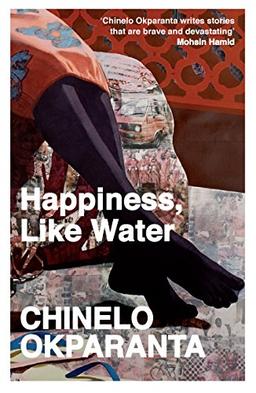 Happiness, Like Water: Stories