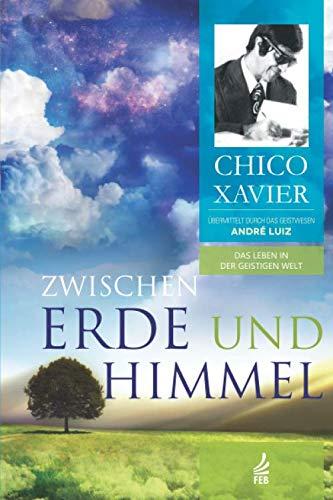 Zwischen Erde und Himmel: Das Leben in der Geistigen Welt