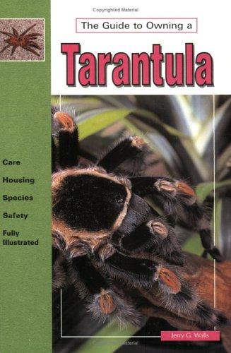 The Guide to Owning a Tarantula