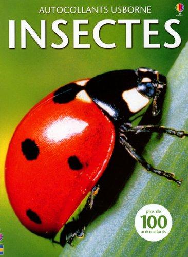 Insectes