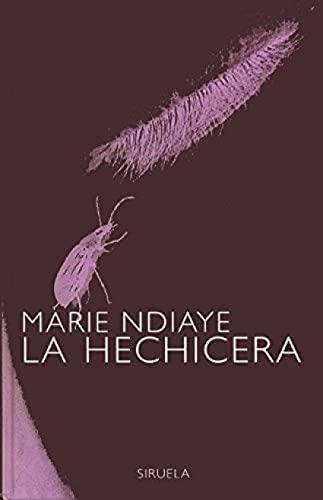 La hechicera (Libros del Tiempo, Band 93)