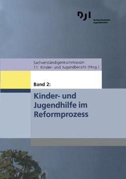 Kinder- und Jugendhilfe im Reformprozess (Materialien zum 11. Kinder- und Jugendbericht)