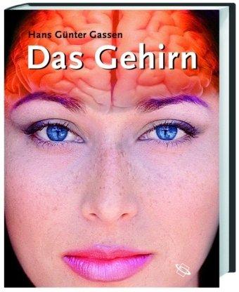 Das Gehirn