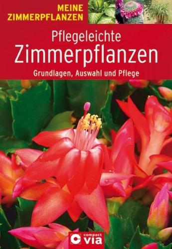 Pflegeleichte Zimmerpflanzen: Grundlagen, Auswahl und Pflege