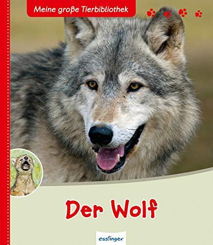 Der Wolf (Meine große Tierbibliothek)