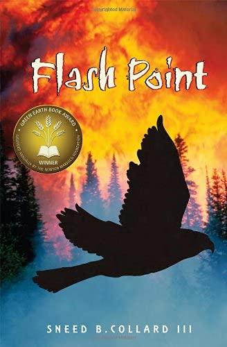 Flash Point