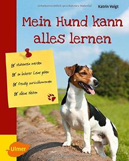 Mein Hund kann alles lernen: Stubenrein werden, an lockerer Leine gehen, freudig zurückkommen, alleine bleiben