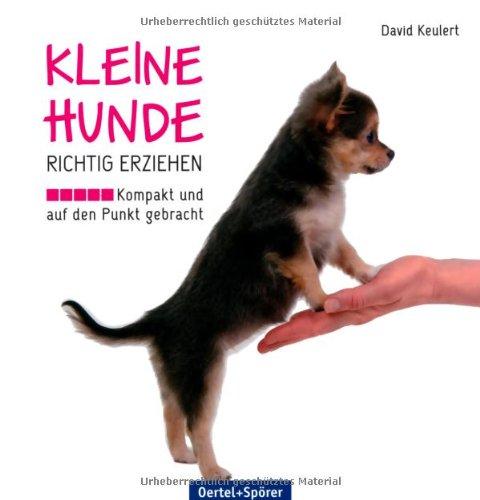 Kleine Hunde richtig erziehen: Kompakt und auf den Punkt gebracht