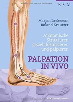 Palpation in Vivo: Anatomische Strukturen gezielt lokalisieren und palpieren