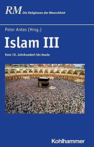 Islam III: Vom 19. Jahrhundert bis heute (Die Religionen der Menschheit, 25,3)