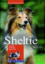 Sheltie: Charakter - Erziehung - Gesundheit