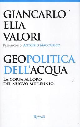 Geopolitica dell'acqua. La corsa all'oro del nuovo millennio (Saggi italiani)