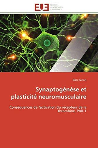 Synaptogénèse et plasticité neuromusculaire