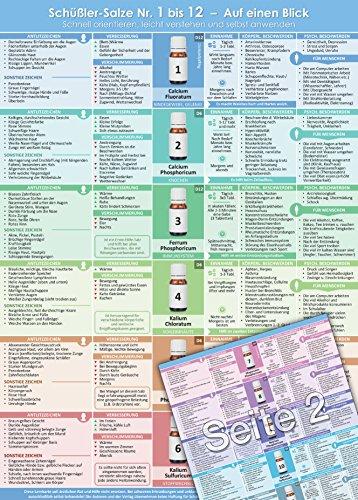 Schüßler-Salze Nr.1 bis 12 - Auf einen Blick: Schnell orientieren, leicht verstehen und selbst anwenden