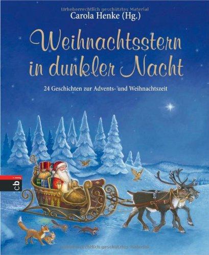 Weihnachtsstern in dunkler Nacht: 24 Geschichten zur Advents- und Weihnachtszeit