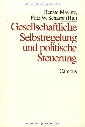 Gesellschaftliche Selbstregelung und politische Steuerung (Schriften aus dem MPI für Gesellschaftsforschung)