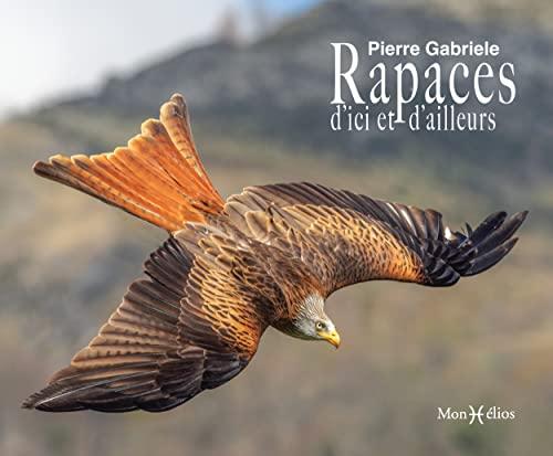 Rapaces : d'ici et d'ailleurs