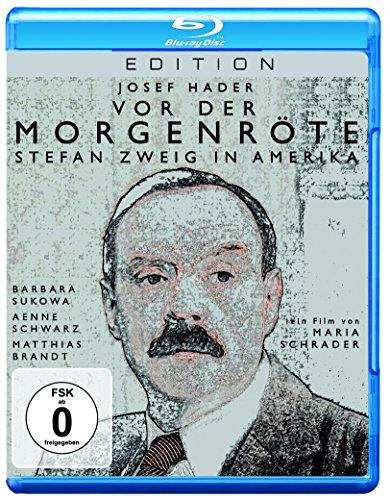 Vor der Morgenröte - Stefan Zweig in Amerika [Blu-ray]