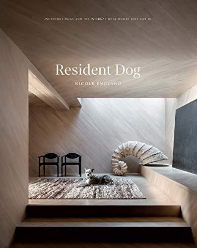 Resident Dog: Incredible homes around the world