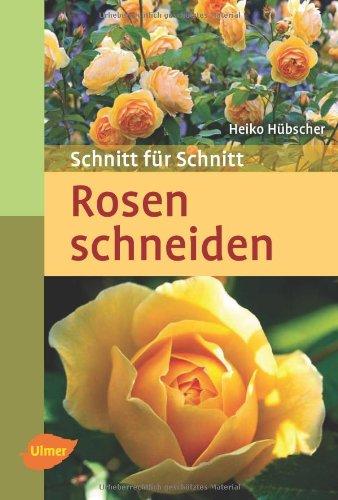 Rosen schneiden: Schnitt für Schnitt