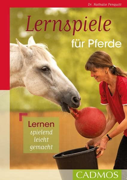 Lernspiele für Pferde: Lernen spielend leicht gemacht