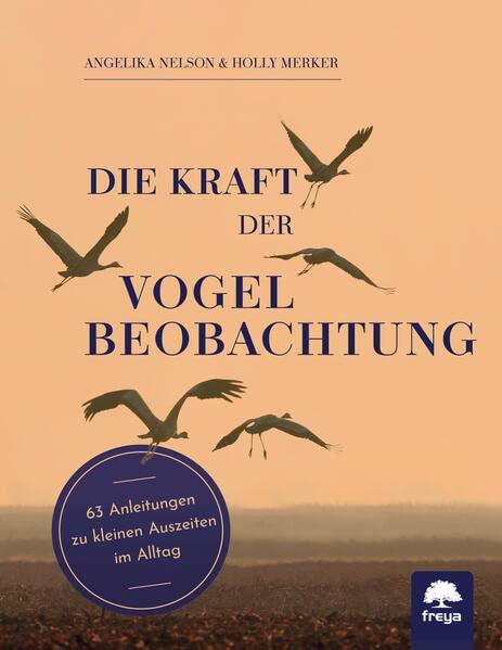 Die Kraft der Vogelbeobachtung: 63 Anleitungen zu kleinen Auszeiten im Alltag