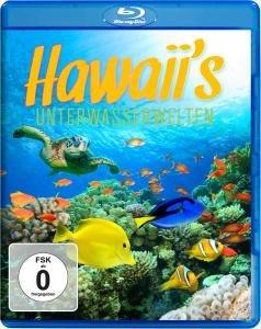 Hawaii's Unterwasserwelten [Blu-ray]