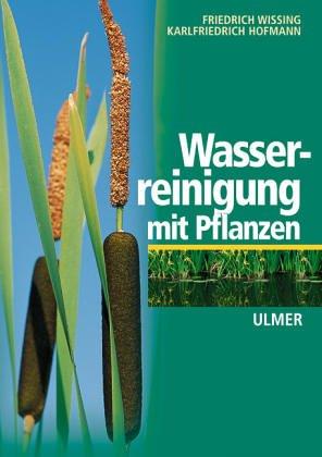 Wasserreinigung mit Pflanzen