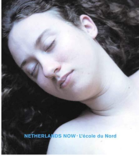 Netherlands now, l'école du Nord