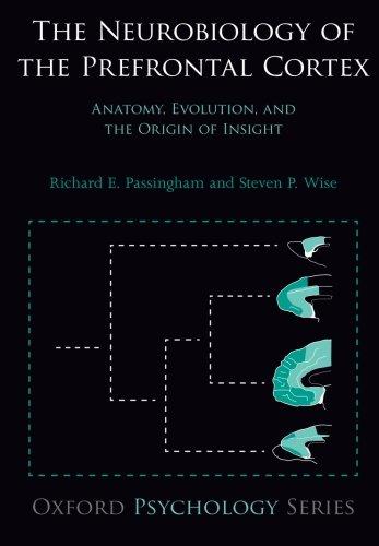 The Neurobiology of the Prefrontal Cortex: Anatomy, Evolution, And The Origin Of Insight (Oxford Psychology)