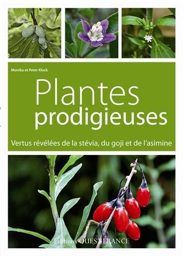 Plantes prodigieuses : vertus révélées de la stévia, du goji et de l'asimine