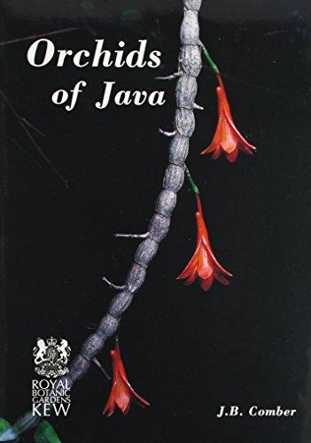 Orchids of Java