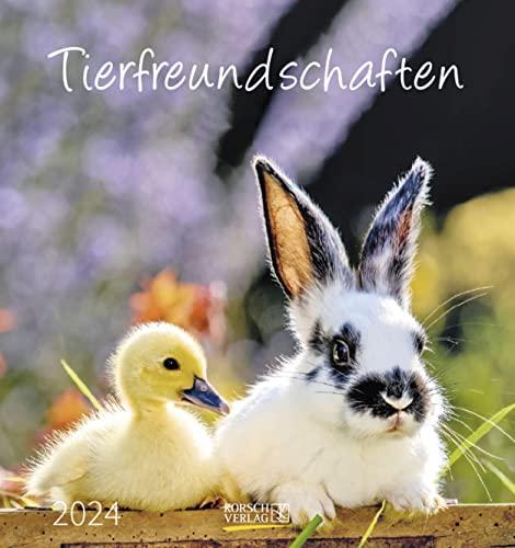 Tierfreundschaften 2024: aufstellbarer Postkartenkalender