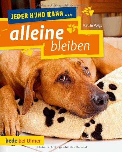 Jeder Hund kann alleine bleiben: Keine Angst vor dem Alleinsein