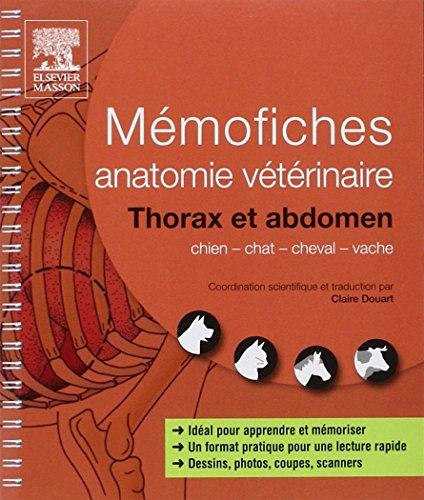 Mémofiches anatomie vétérinaire : thorax et abdomen : chien, chat, cheval, vache