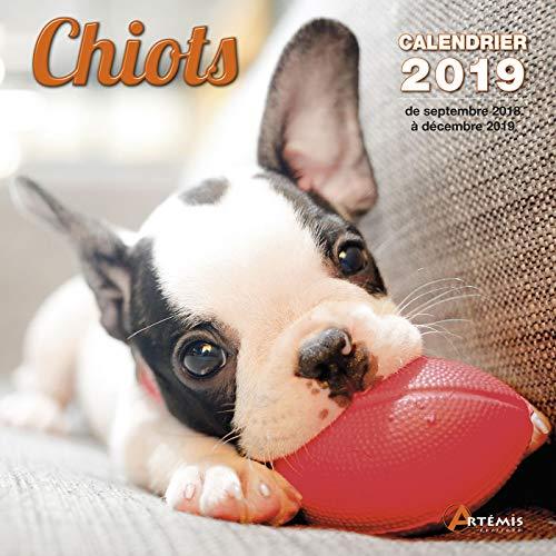 Chiots : calendrier 2019 : de septembre 2018 à décembre 2019