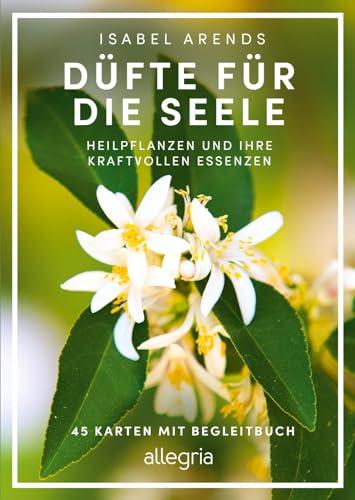 Düfte für die Seele: Heilpflanzen und ihre kraftvollen Essenzen | Faszinierendes Wissen über Heilpflanzen und Aromaöle