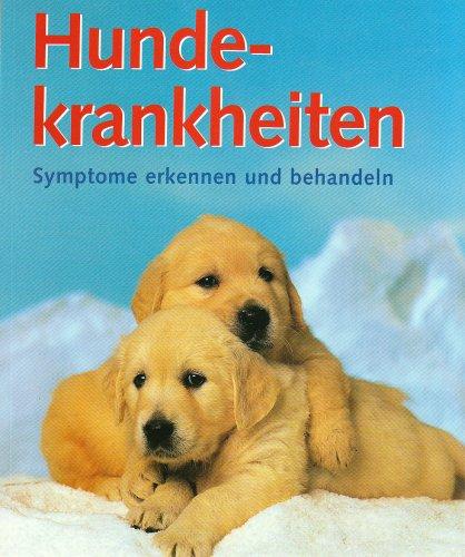 Hundekrankheiten: Symptome erkennen und behandeln