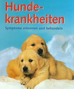 Hundekrankheiten: Symptome erkennen und behandeln