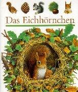 Das Eichhörnchen: Das Eichhornchen